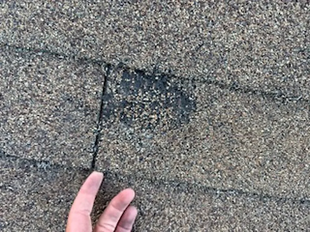 Finger pointing to a dark bald patch where the granules have worn off an asphalt shingle.
